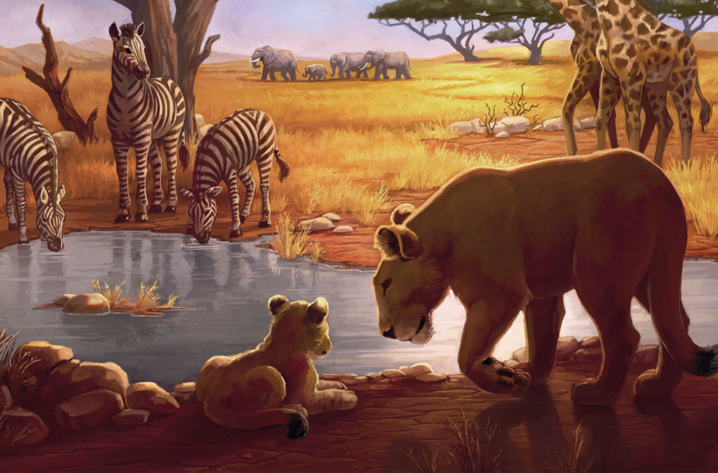 Carcassonne: Safari — image from zmangames.com